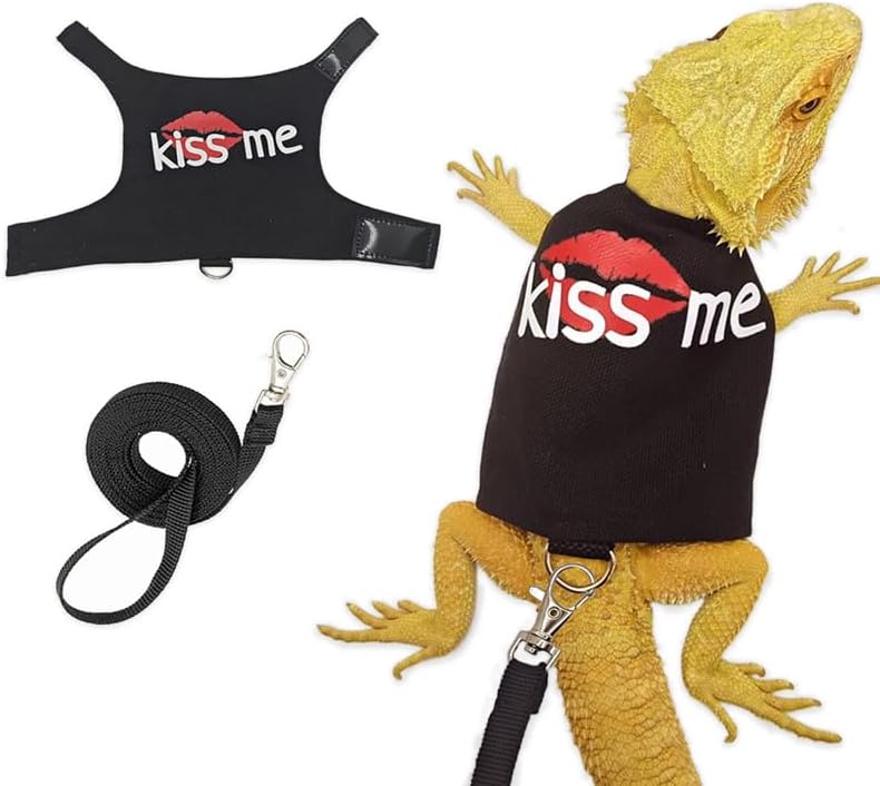 hokable Bearded Dragon Leash and Harness Adjustable - Bearded Dragon Leash and Harness Set with Lizard Luminous Leash for Amphibians Chameleons Small Pet Animals Outdoor Safety Walking（Black） - Image 1